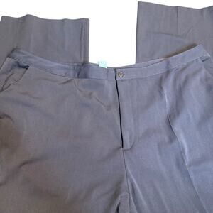 Chelesea Studio Brown Dress Pants, Women's Plus Size 30W